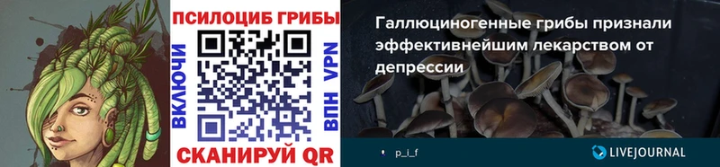 Галлюциногенные грибы прущие грибы  Заозёрск 